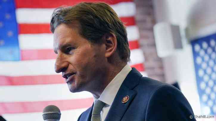 Dean Phillips on timing of Biden's cancer news: 'I don’t think it’s coincidental'