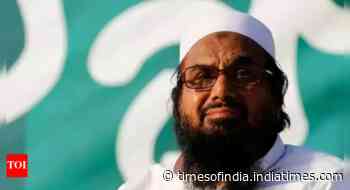'US did it, why can't Pakistan?': Indian envoy demands Hafiz Saeed's extradition