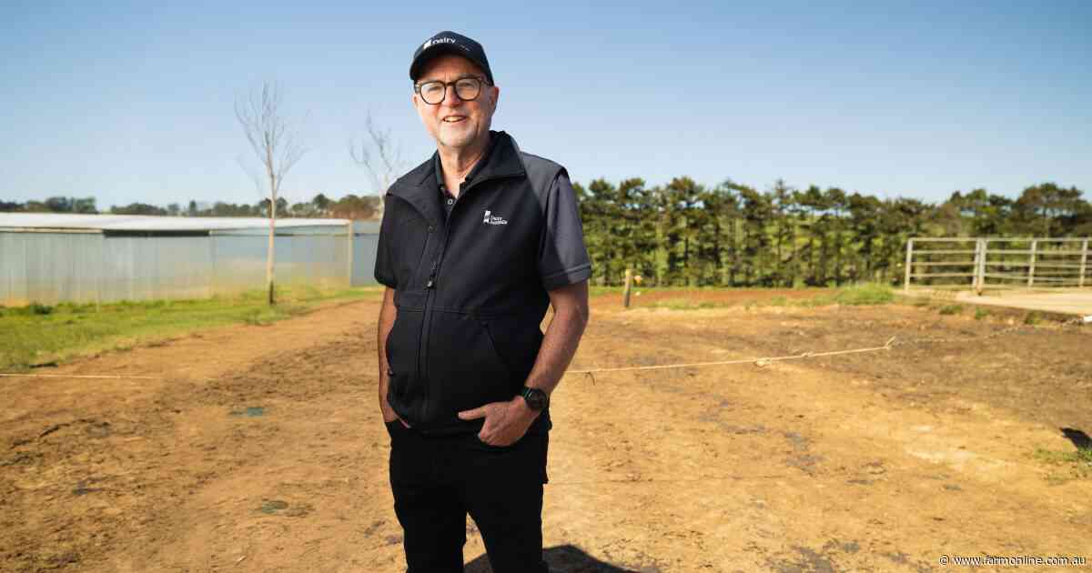 Enhancing farm business management for a clearer understanding of on-farm wealth