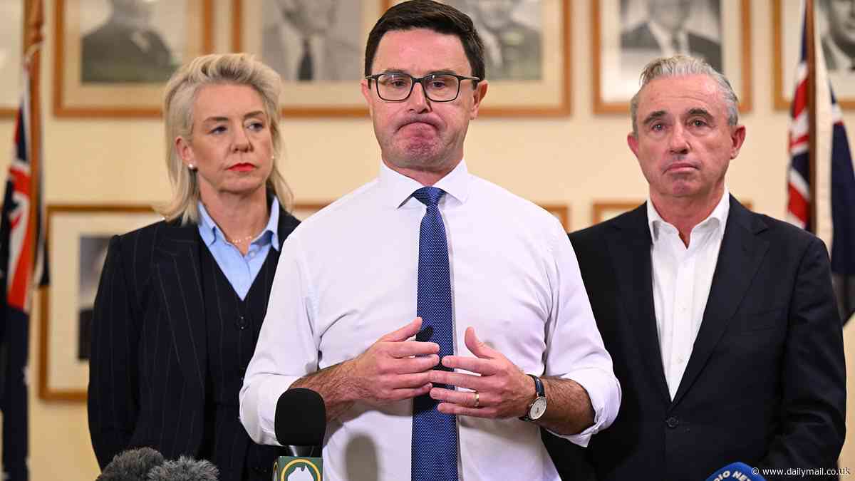PETER VAN ONSELEN: These are the seismic consequences of the Liberals and Nationals breaking up... No wonder people think the Nats are the dimwitted half of the Coalition