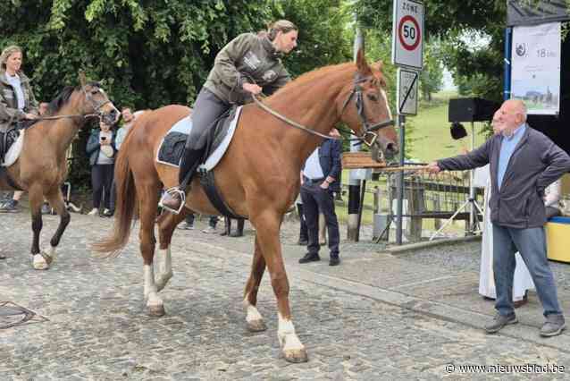 Bijna vijftig ruiters en menners op ruiterommegang