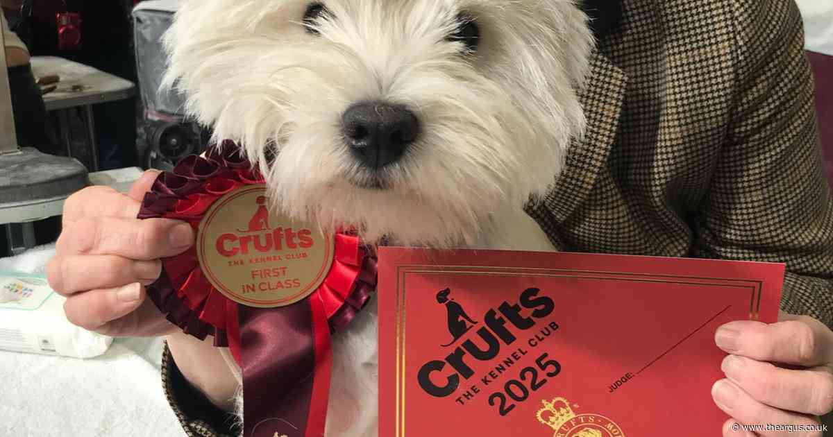 Dog which defied the odds after losing siblings at birth wins at Crufts