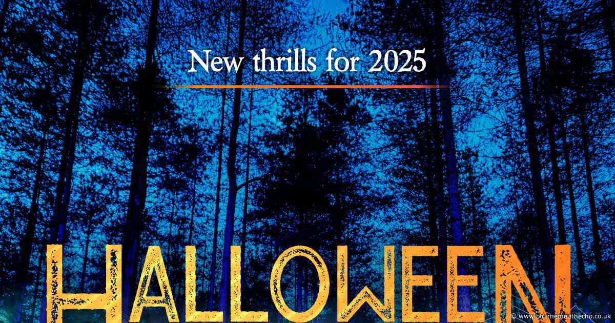 Popular illuminated Halloween trail returns to Ringwood park