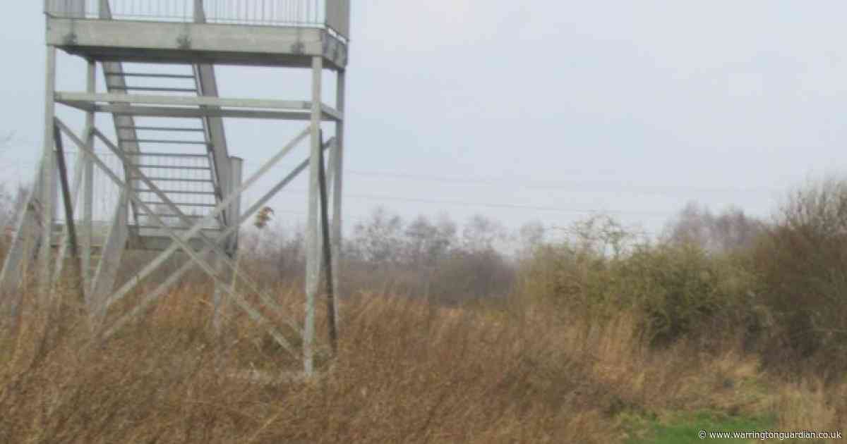 Popular Woolston nature reserve viewing platform set for green light