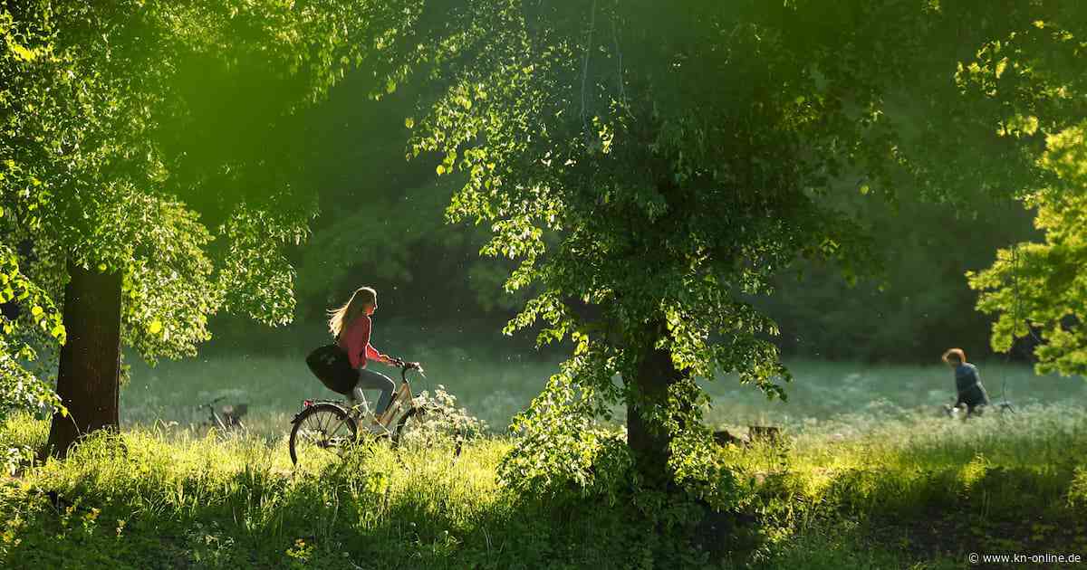 Wetter heute (20.5.2025): Aktuelle Wettervorhersage und Trends der nächsten Tage