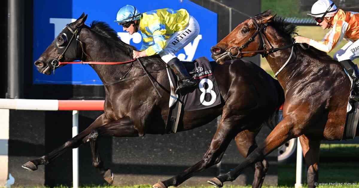 Dark Jewel Classic winner on song at Scone Cup carnival for Singleton | Tails