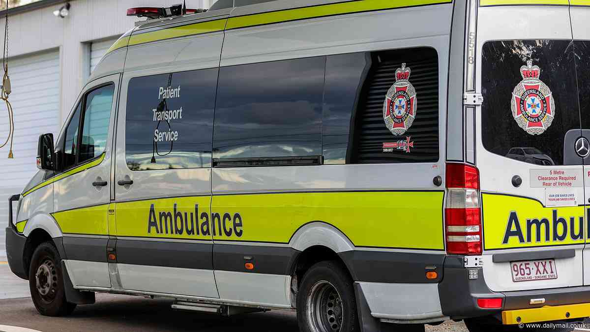Child is bitten on the face by a dog in horror mauling at Dysart