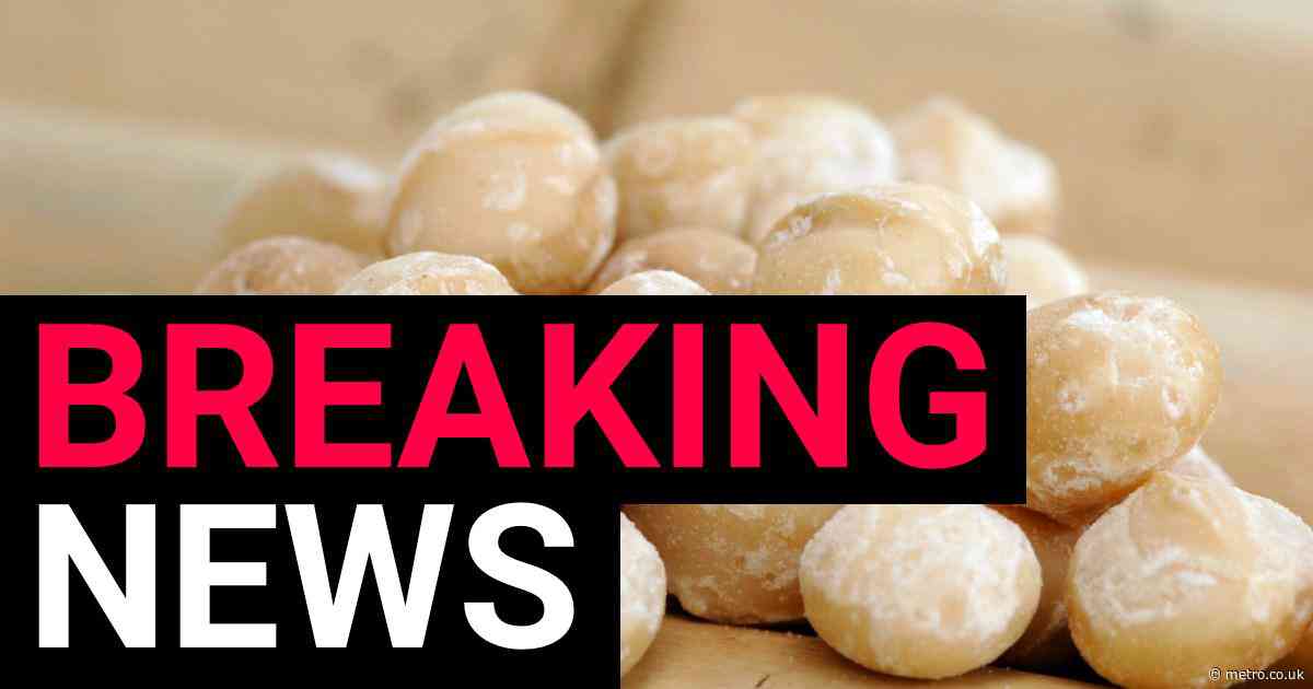 Urgent recall of macadamia nuts over E.coli contamination fears