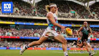 Bailey hype goes up again for massive Cats-Dogs duel