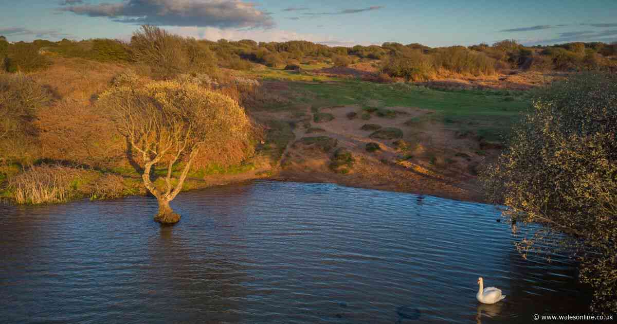 Man arrested after series of 'indecent exposures' at beauty spot