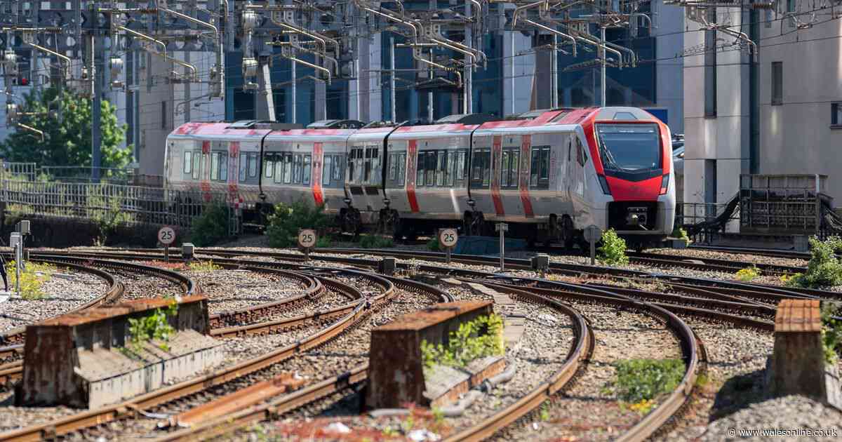Live updates as all trains stopped between Cardiff and Newport due to animals on line