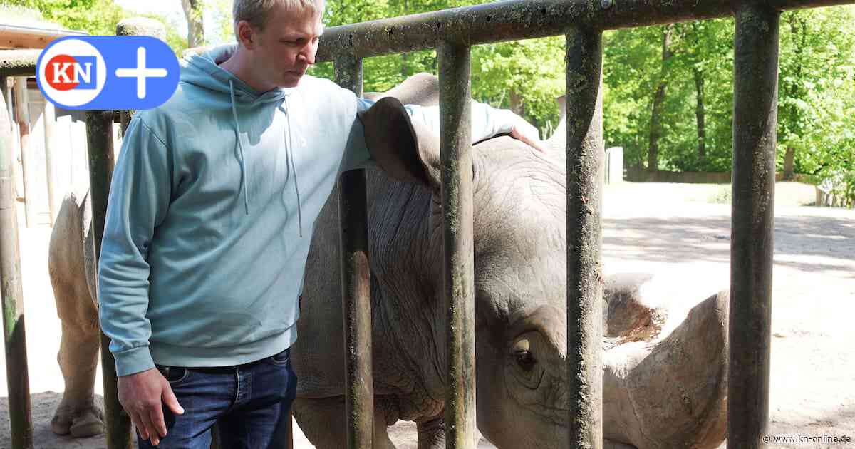 Forscher aus Kiel helfen bedrohtem Nashorn – und zugleich Depressiven