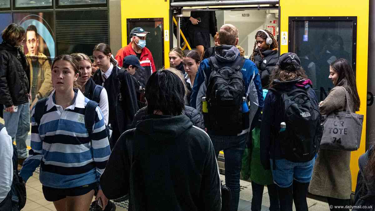 Power outage at Strathfield station brings Sydney trains to a halt ahead of peak hour on T1, T2, T3 and T9 lines