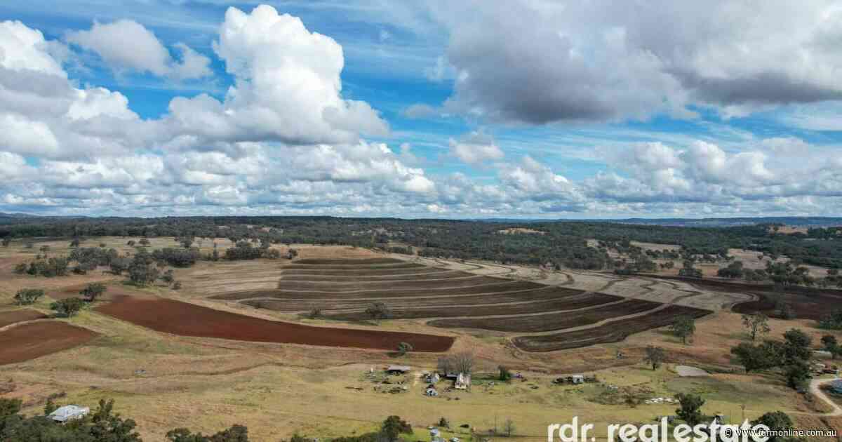 Close-to-town property Sandy Knowe presented with subdivision potential