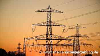 Erzeugerpreise fallen weiter - Energie erneut günstiger