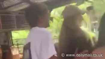 Zara McDermott and Louis Tomlinson look smitten as they're seen on romantic holiday in Costa Rica