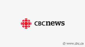 Ontario wants to expand vehicle stop-and-searches. Some experts say it could lead to racial profiling
