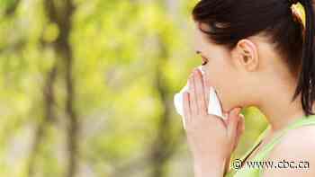 Intense levels of tree pollen mean heightened symptoms for allergy sufferers in Hamilton, researcher warns