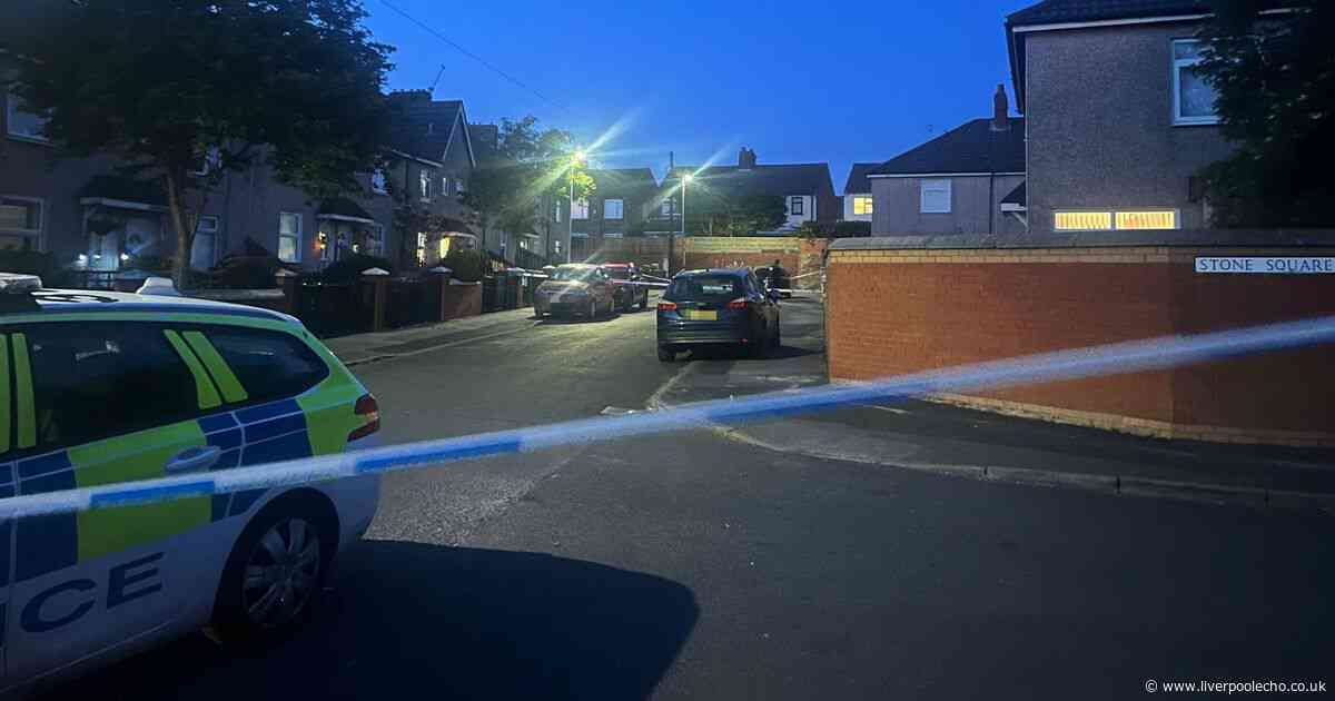 Boy, 17, stabbed in the back as neighbours rush to help