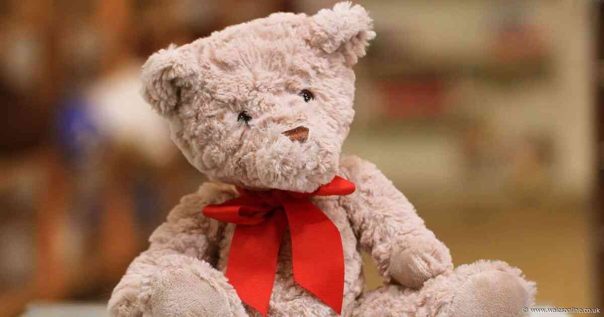 A teddy bear had a secret camera and was gifted by a stalker