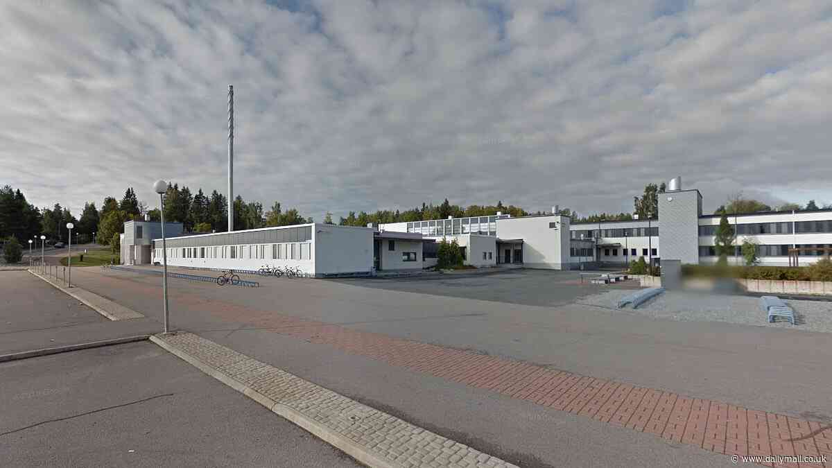 Armed cops descend on school in Finland with at least three injured in 'violent incident'