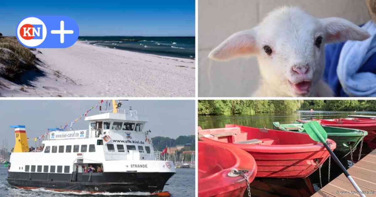 Tipps und Ideen: Ausflug im Familienurlaub in Schleswig-Holstein