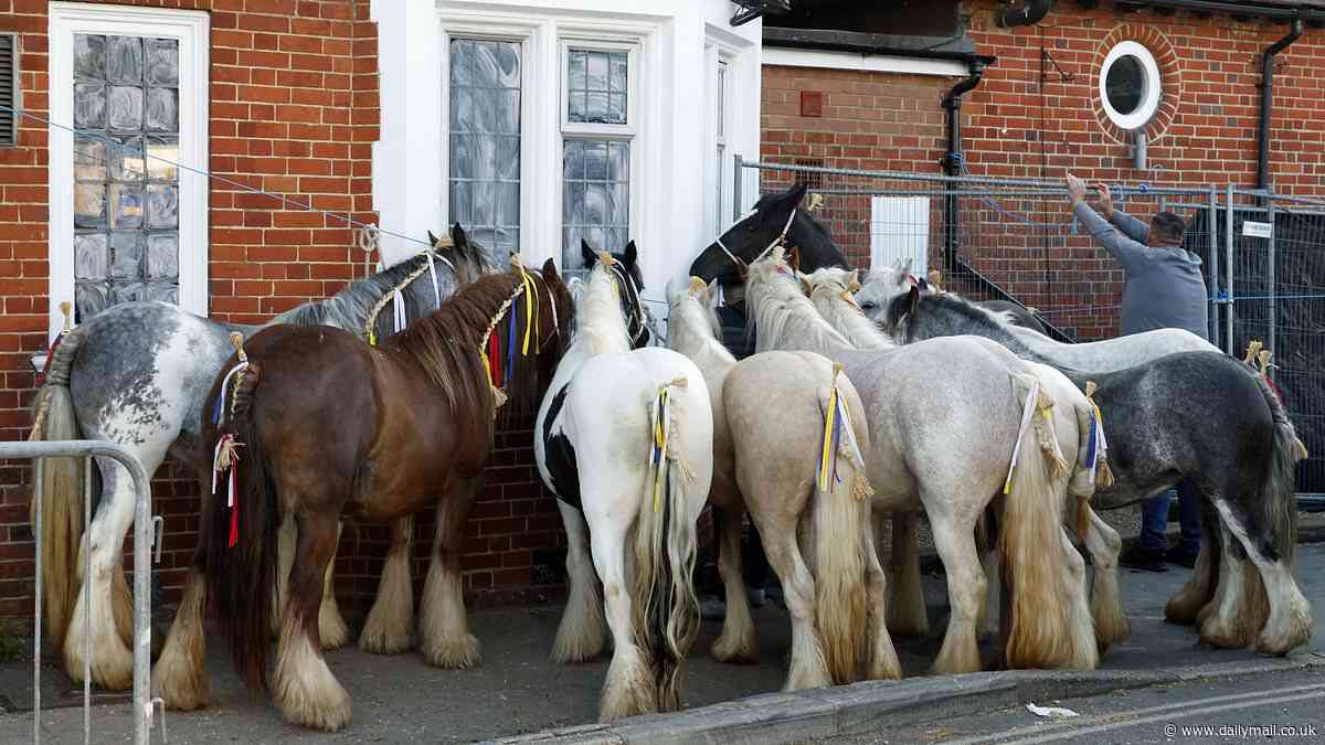Hundreds of travellers arrive with their horses as Wickham Horse Fair begins in quiet Hampshire village