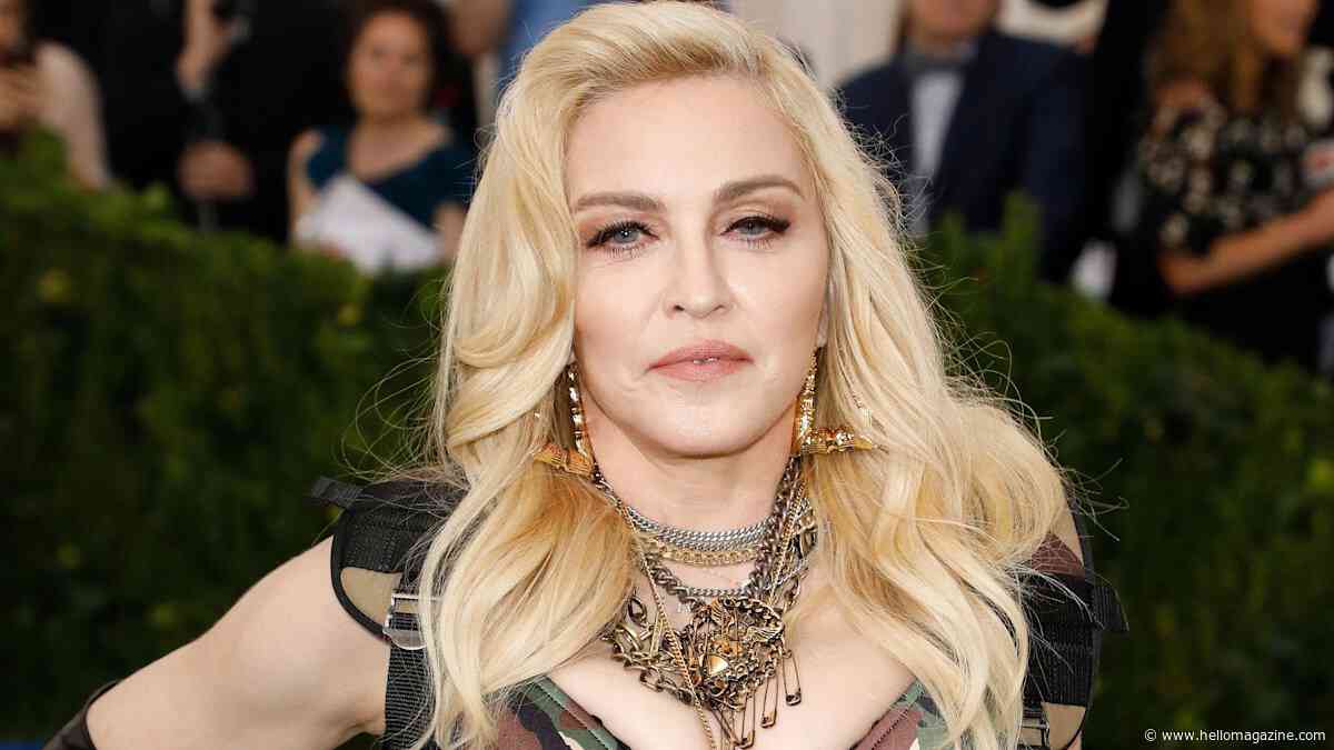 Madonna's twins display impressive athleticism in snapshot of family life