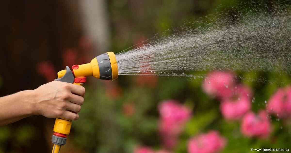 Gardening expert explains how to protect your garden in a drought if there's a hosepipe ban