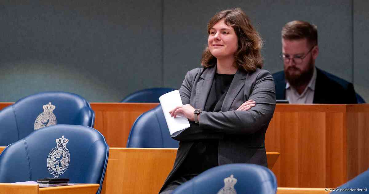 Kamer wil kabinet naar verboden pride-mars in Hongarije sturen