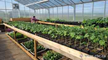 This weather has thrown gardeners for a loop. Here's how to save your plants