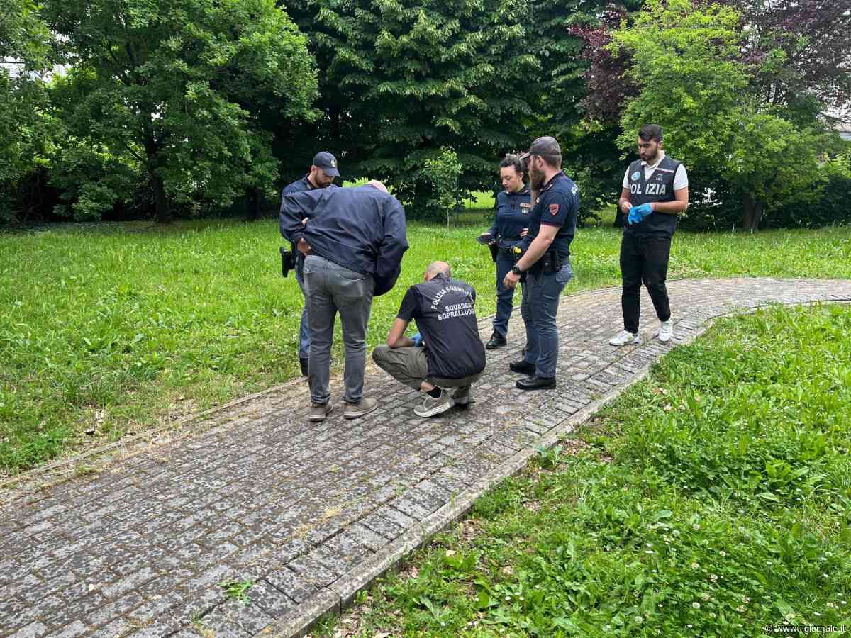 Feto abbandonato in un parco. Il ritrovamento choc a Parma