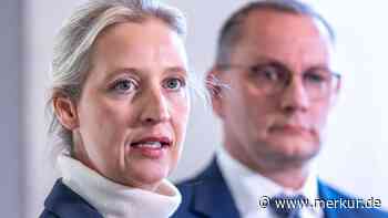 Kurswechsel bei der AfD? Das steckt hinter dem scheinbar neuen Umgang mit Russland