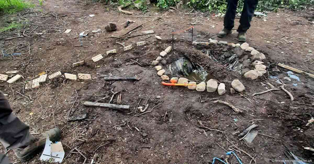 Police warning over behaviour of children in woodland divides opinion