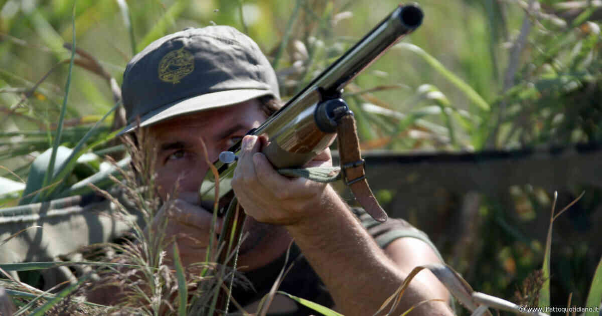 Altro che rispetto della biodiversità: la liberalizzazione della caccia voluta da Lollobrigida va fermata