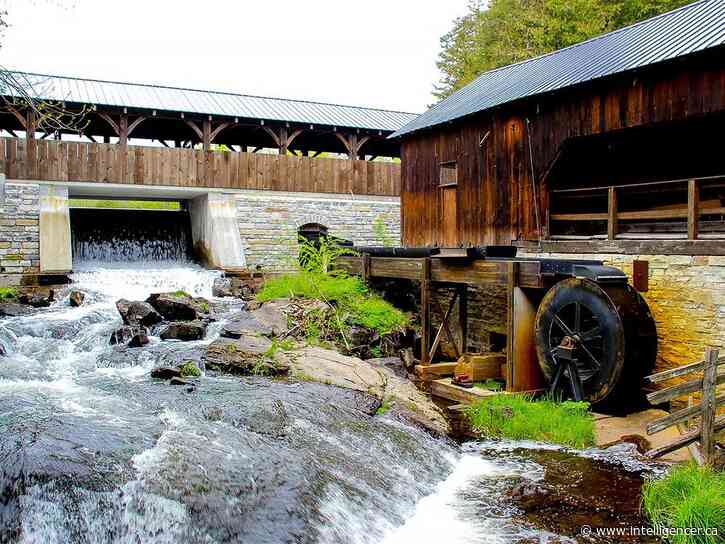 Witness the past and future of sawmilling at Quinte Woodlot Association gathering