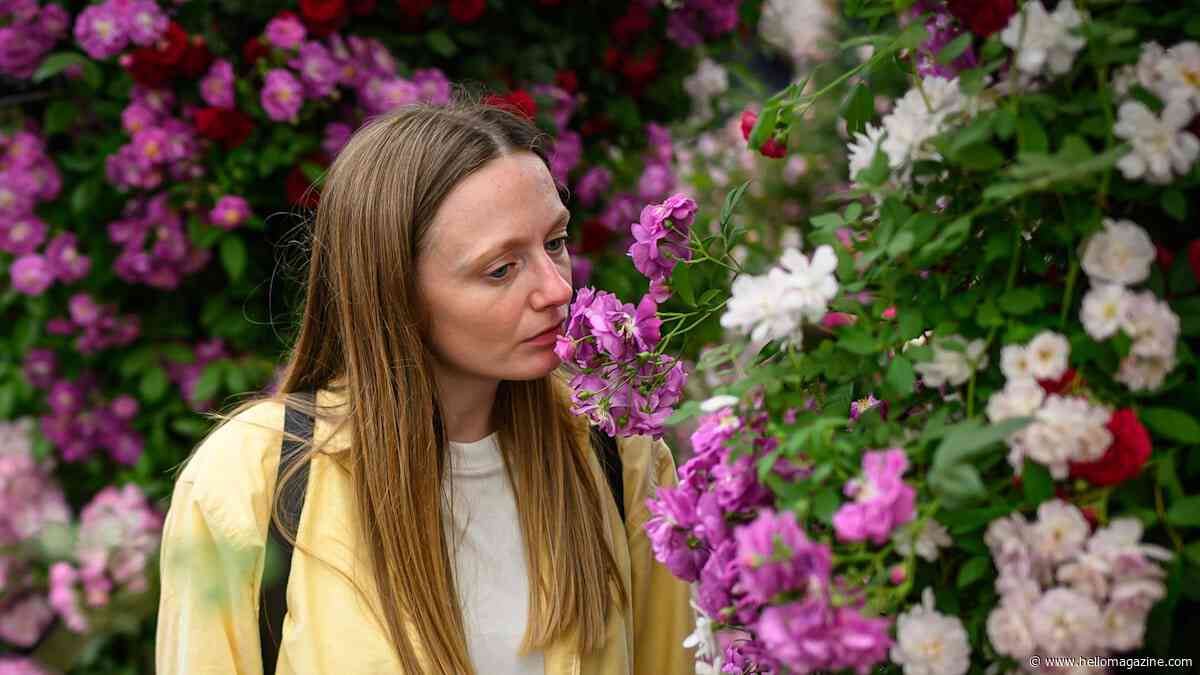 TikTok approved trends from the Chelsea Flower Show to reinvent your garden