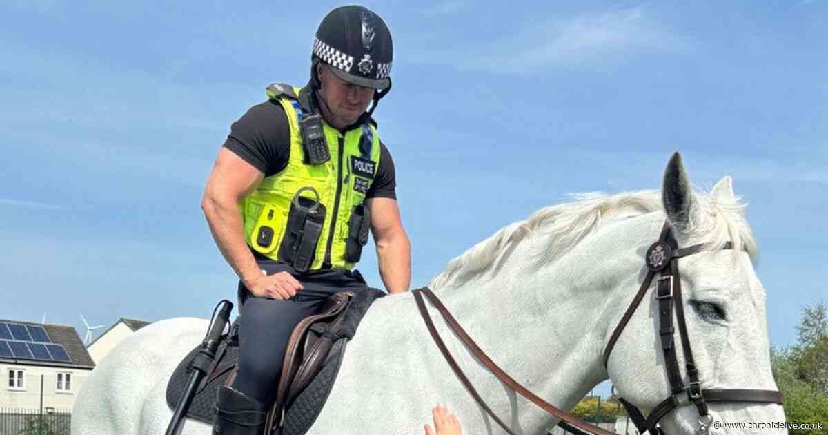 Houghton-le-Spring school visited by police as pupils enjoy fun-filled day of activities