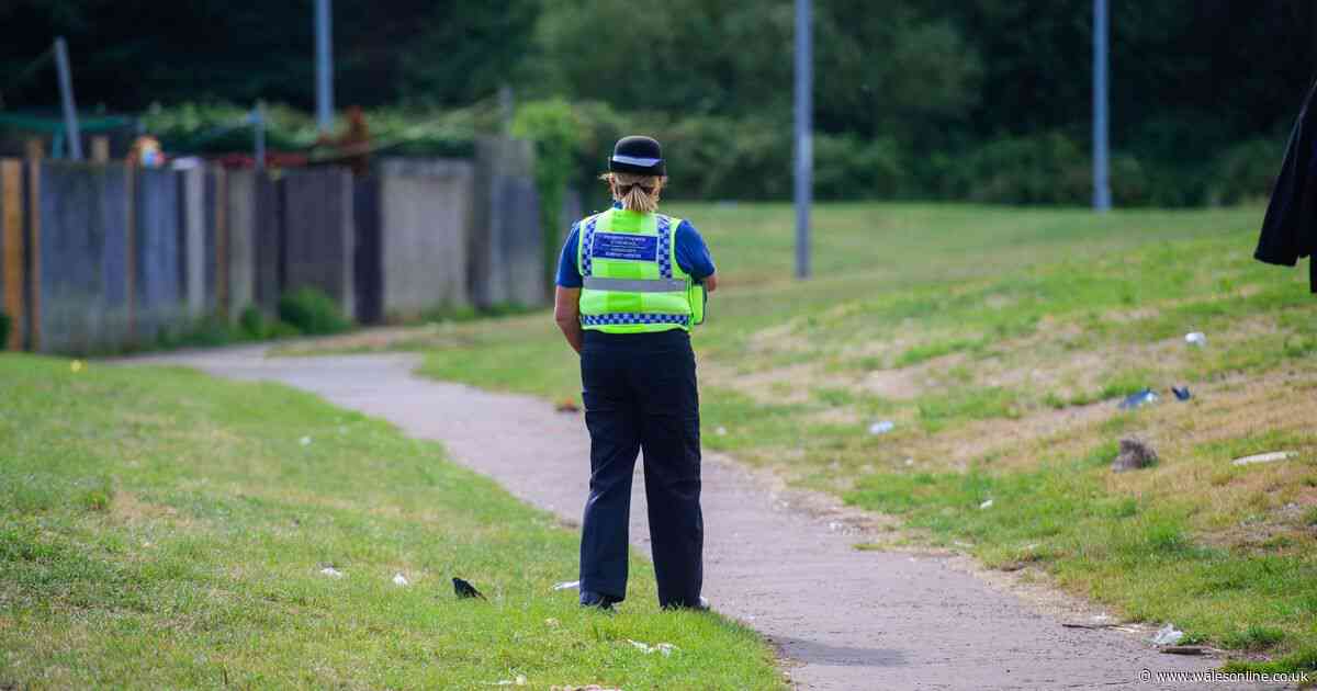 Missing toddler found wandering alone in city park