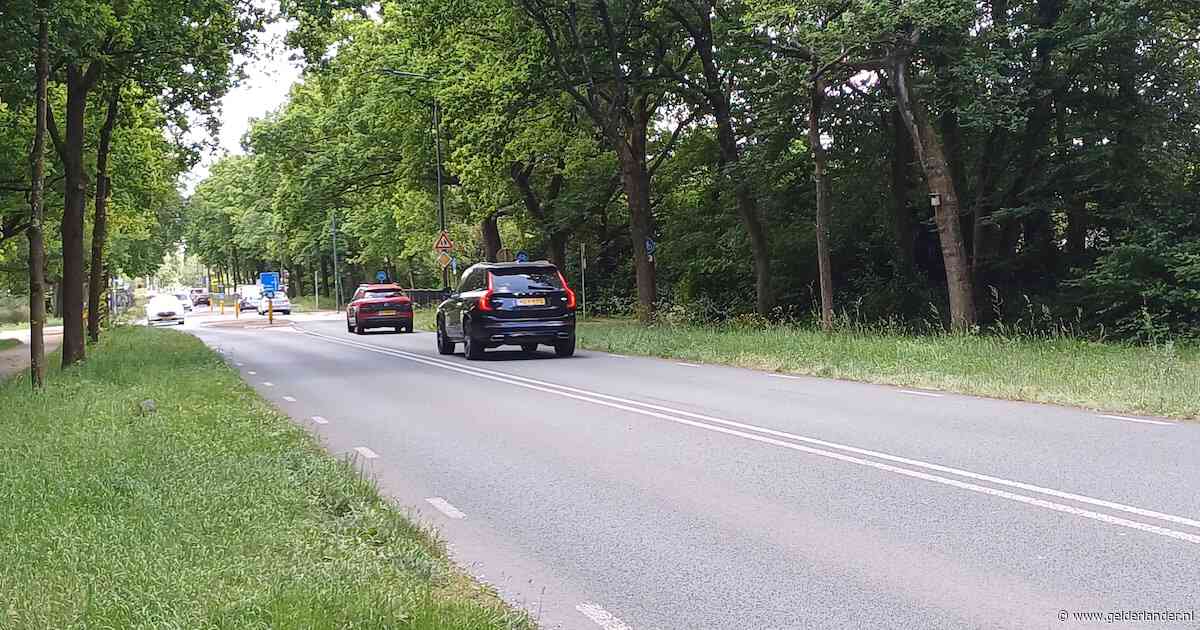Op deze provinciale weg moet een flitspaal komen, vinden ze in dit dorp: ‘Te veel onveilige situaties’
