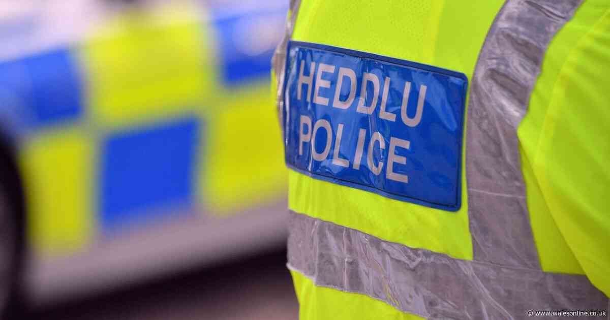 Police hunt two suspects after 'man assaulted during burglary'