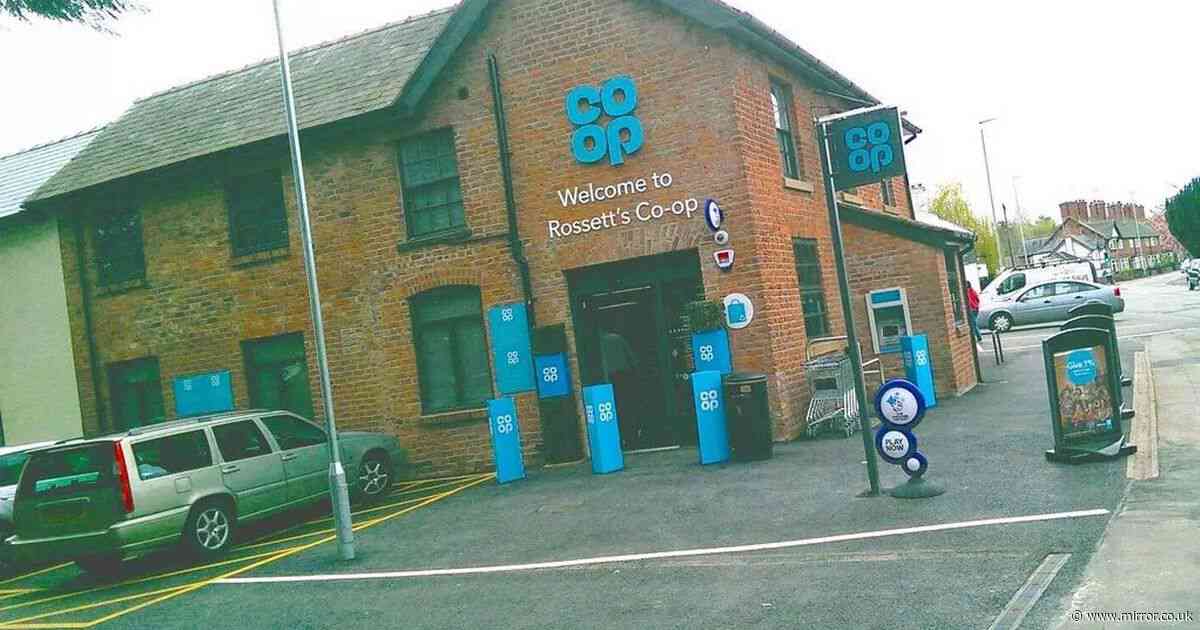 Police appeal after man wound down van window and told boy, 11, to 'get in'