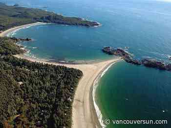 Six-foot boa constrictor goes missing from beach in Tofino