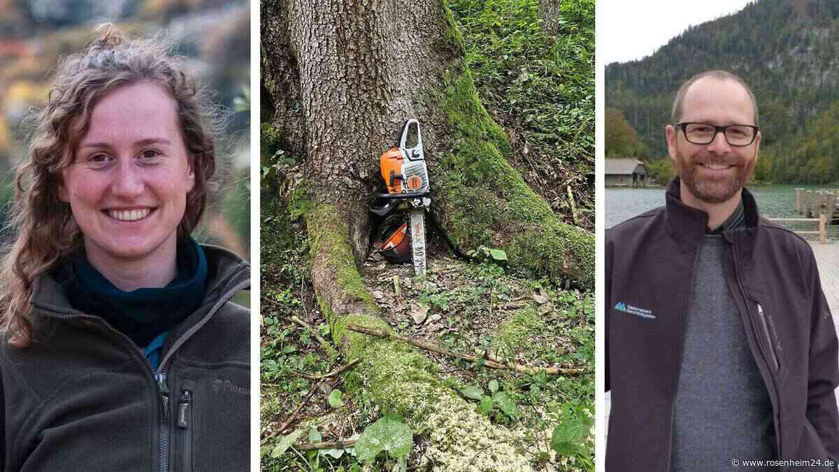Unberührte Wälder trotzen Klimastress – Neue Studie aus dem Berchtesgadener Land überrascht Experten