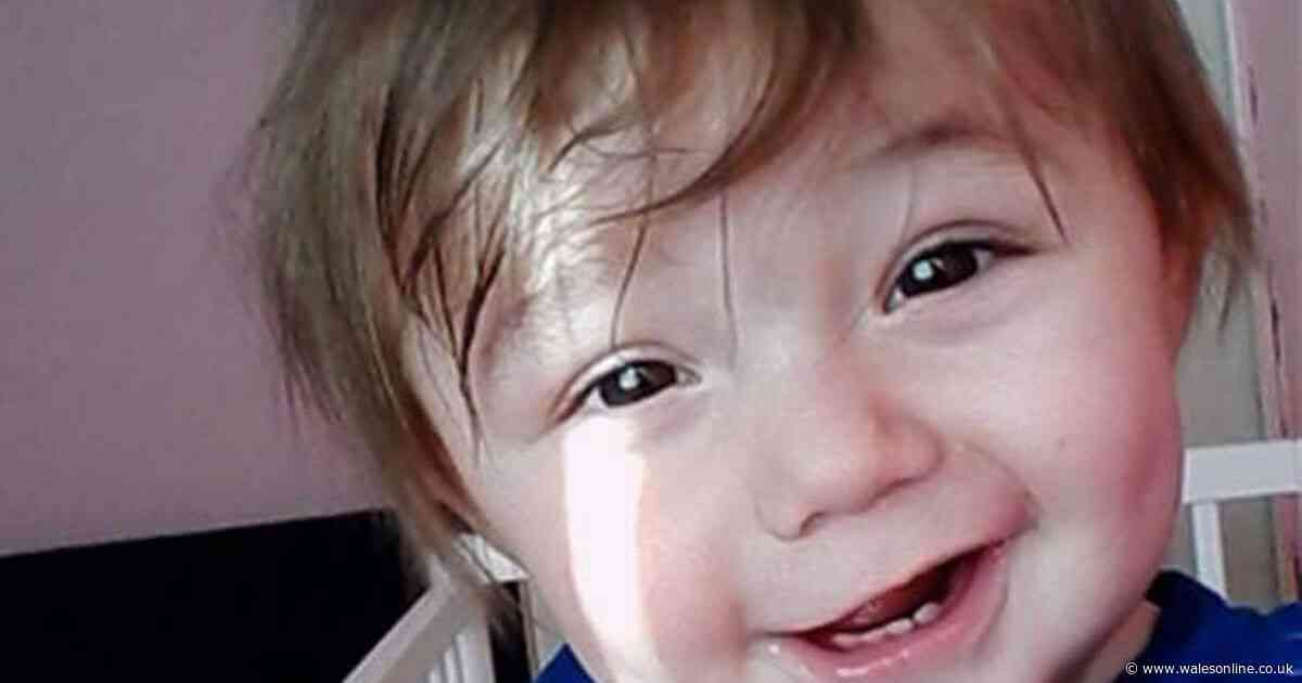 Ethan Ives-Griffiths' brain injuries could have been caused by 'fist, hand or knee', murder trial hears