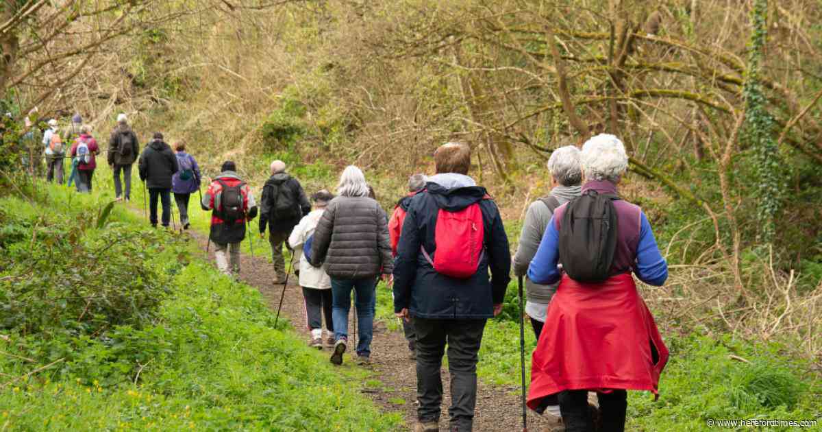 Hundreds take 'Walk This May Challenge' - covering 4,700 miles