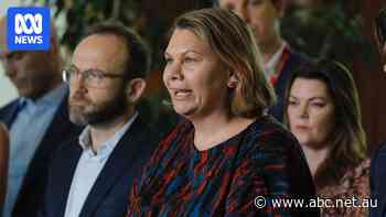 Dorinda Cox accuses Greens of racism in scathing resignation letter