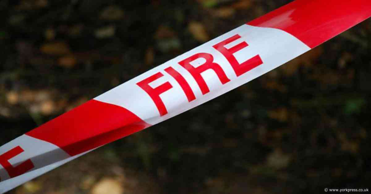 Fire spreads to trees and shed in York suburb