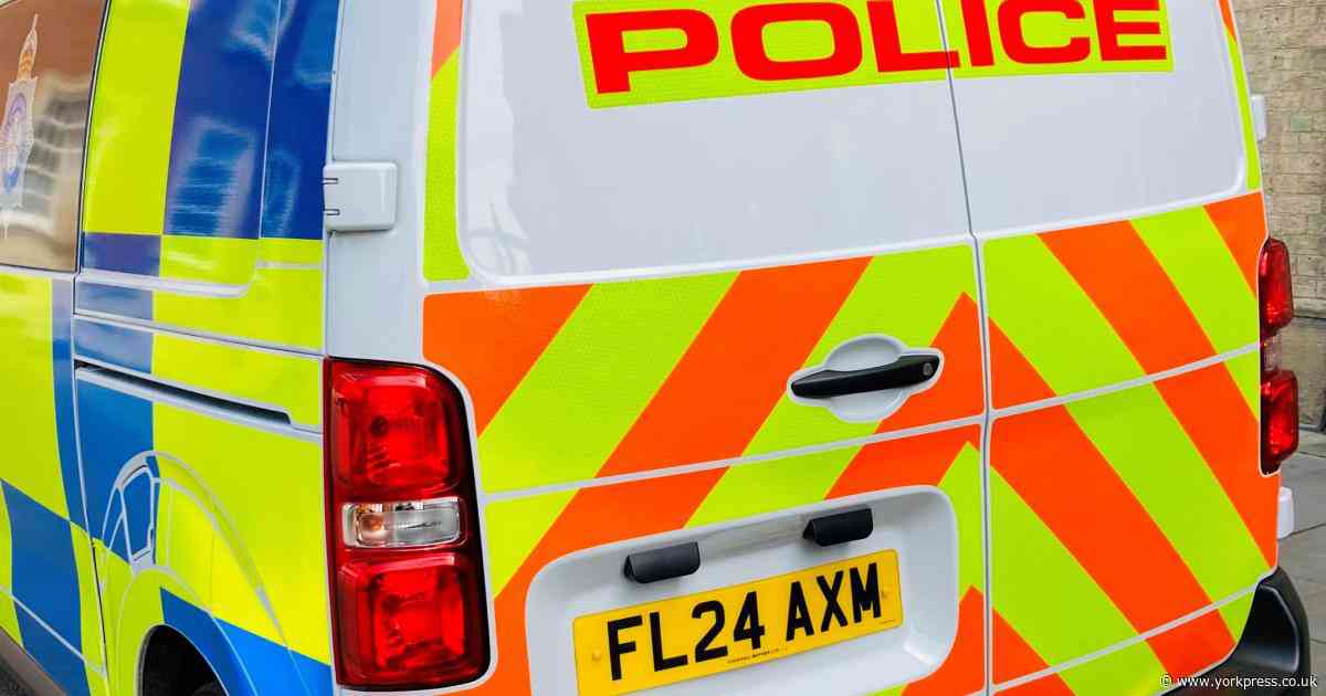 Reports of 'attempted abduction' of child close to York school
