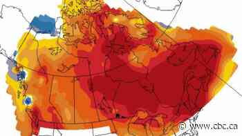 Summer weather outlook suggests Atlantic Canadians will be looking for shade
